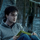 Illustration for article titled Read J.K. Rowling's First-Ever Story About Harry Potter As An Adult